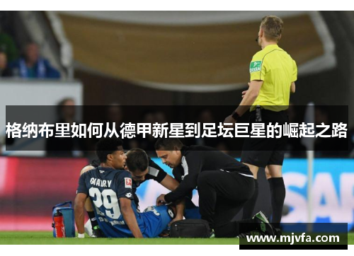 格纳布里如何从德甲新星到足坛巨星的崛起之路