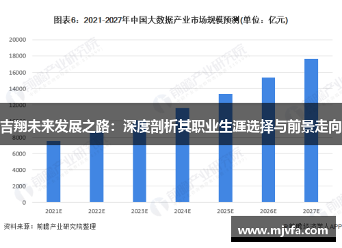 吉翔未来发展之路：深度剖析其职业生涯选择与前景走向